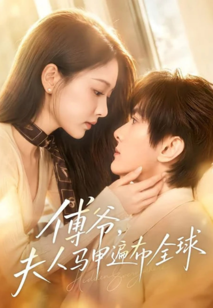 傅爷，夫人马甲遍布全球全集