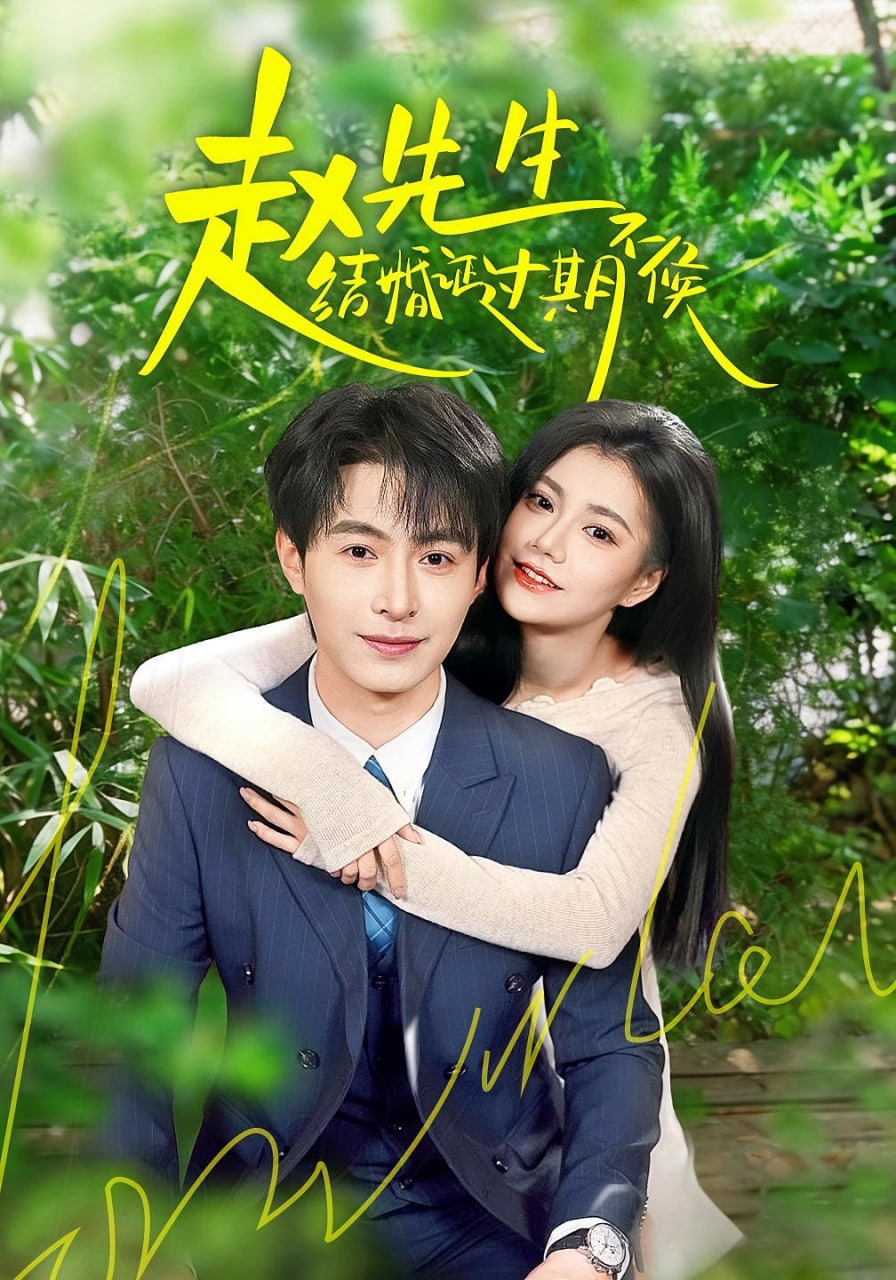 赵先生结婚证过期不候全集