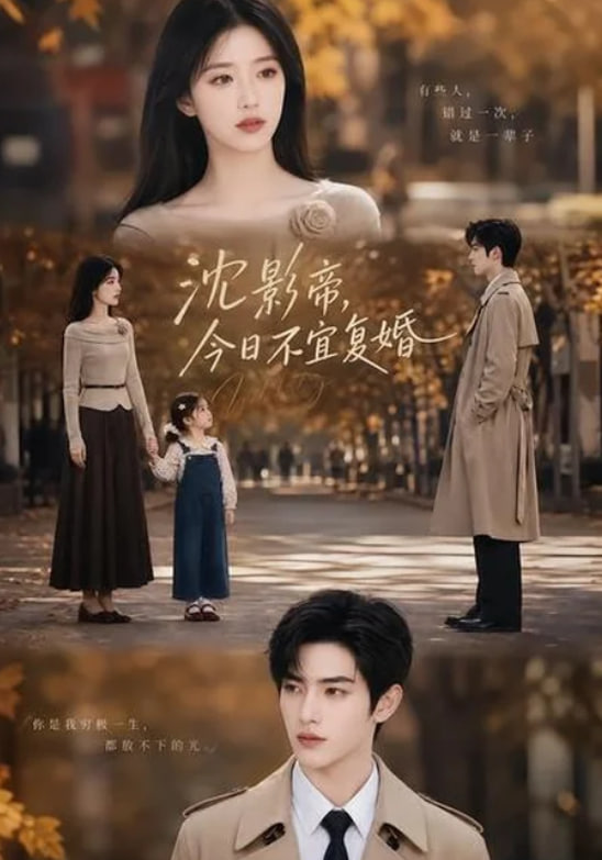 沈影帝，今日不宜复婚全集