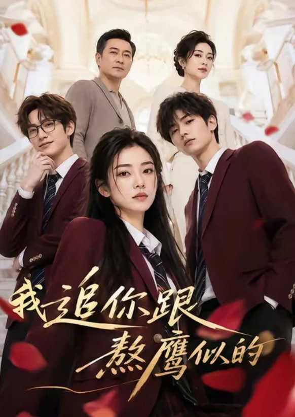 我追你跟熬鹰似的全集