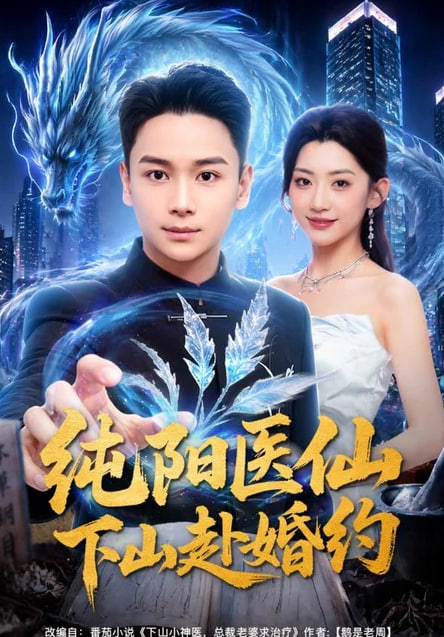纯阳医仙下山赴婚约全集