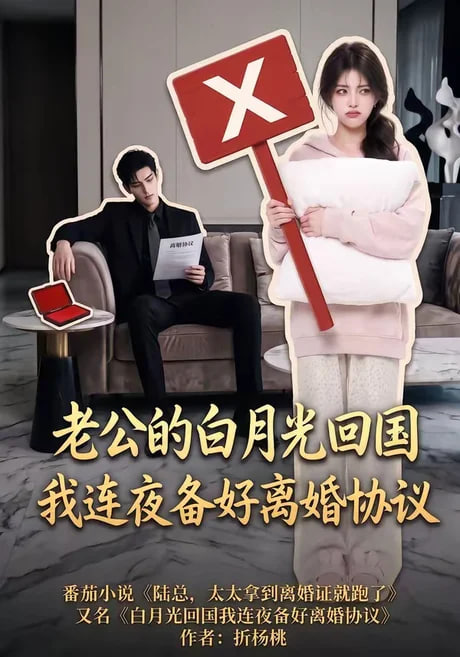老公的白月光回国我连夜备好离婚协议全集