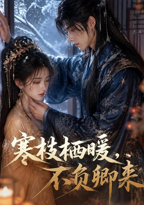 寒枝栖暖，不负卿来全集