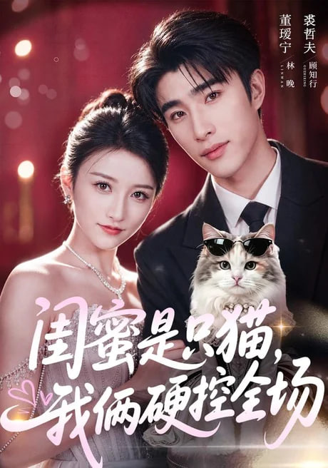 闺蜜是只猫，我俩硬控全场全集