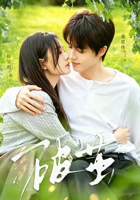 破茧全集