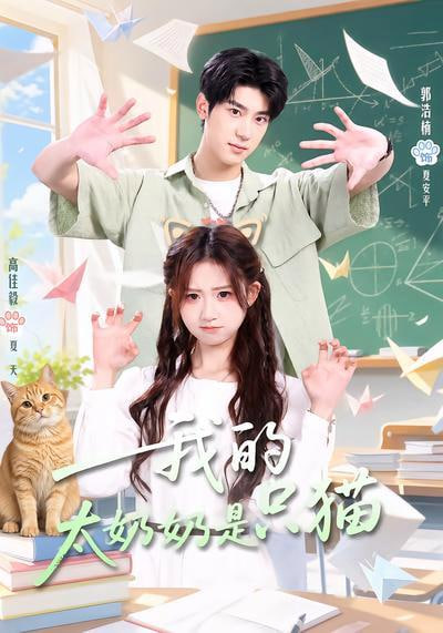 我的太奶奶是只猫全集