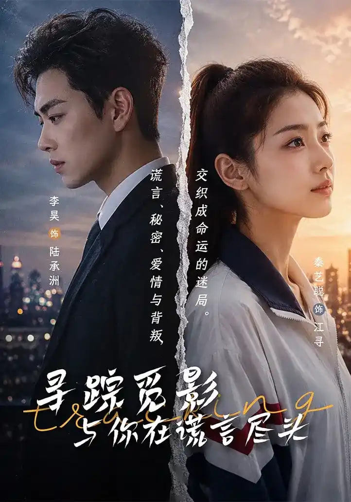 寻踪觅影：与你在谎言尽头全集