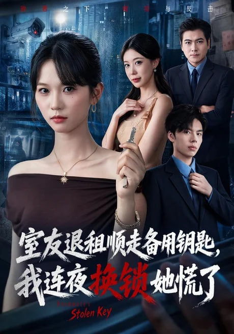 室友退租顺走备用钥匙，我连夜换锁她慌了全集