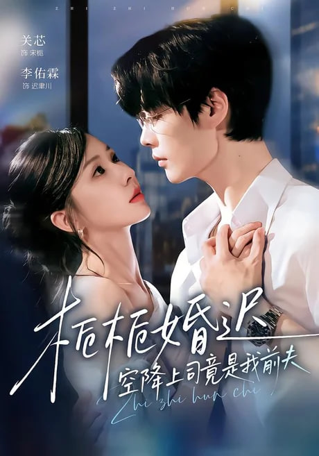 栀栀婚迟，空降上司竟是我前夫全集
