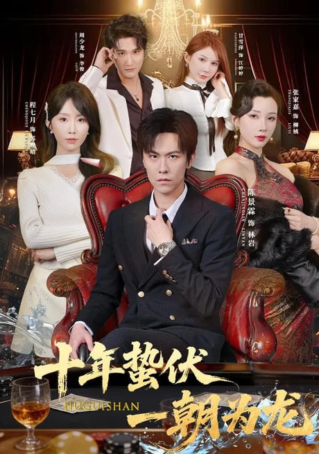 十年蛰伏，一朝为龙全集