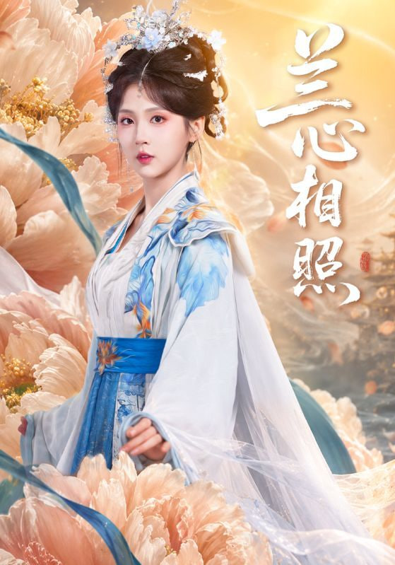 兰心相照全集
