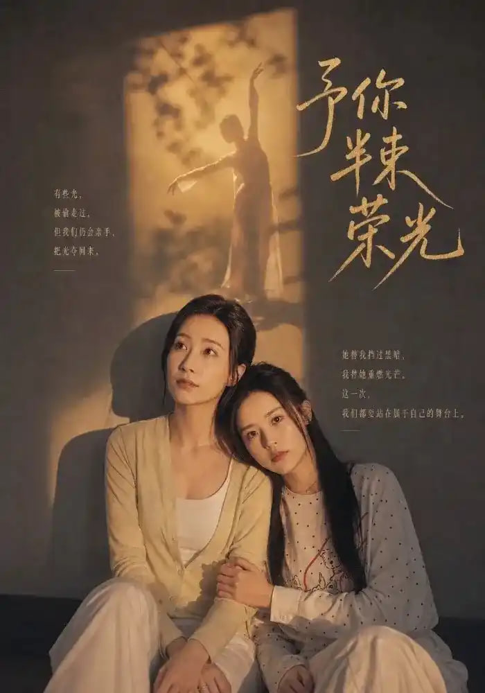 予你半束荣光全集