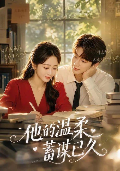 他的温柔蓄谋已久全集