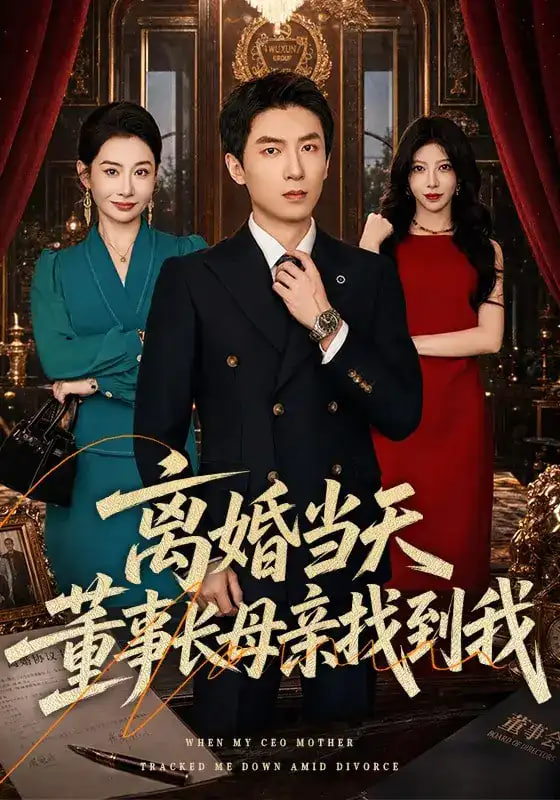 离婚当天，董事长母亲找到我全集