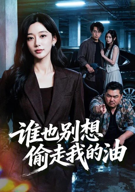 谁也别想偷走我的油全集