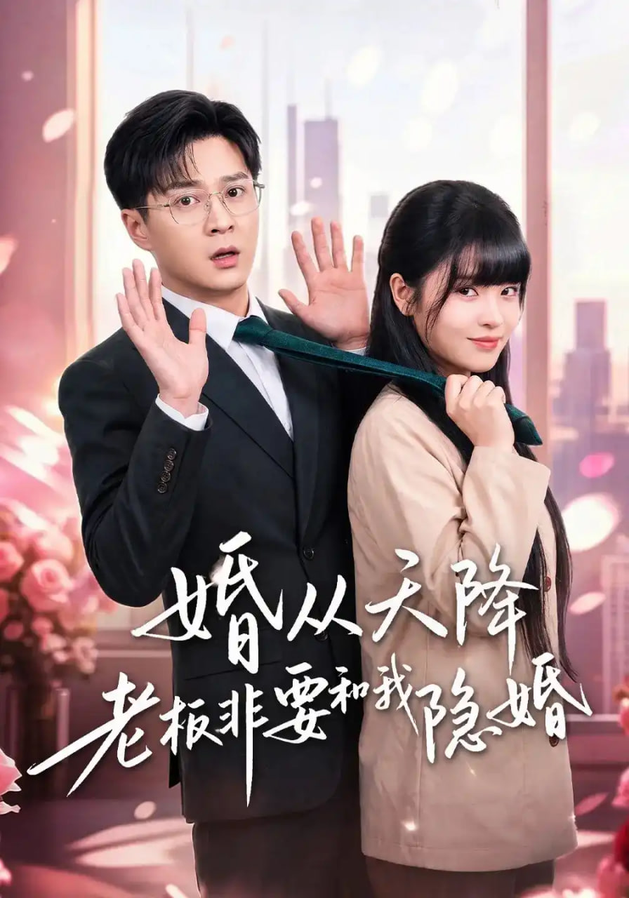 婚从天降老板非要和我隐婚全集