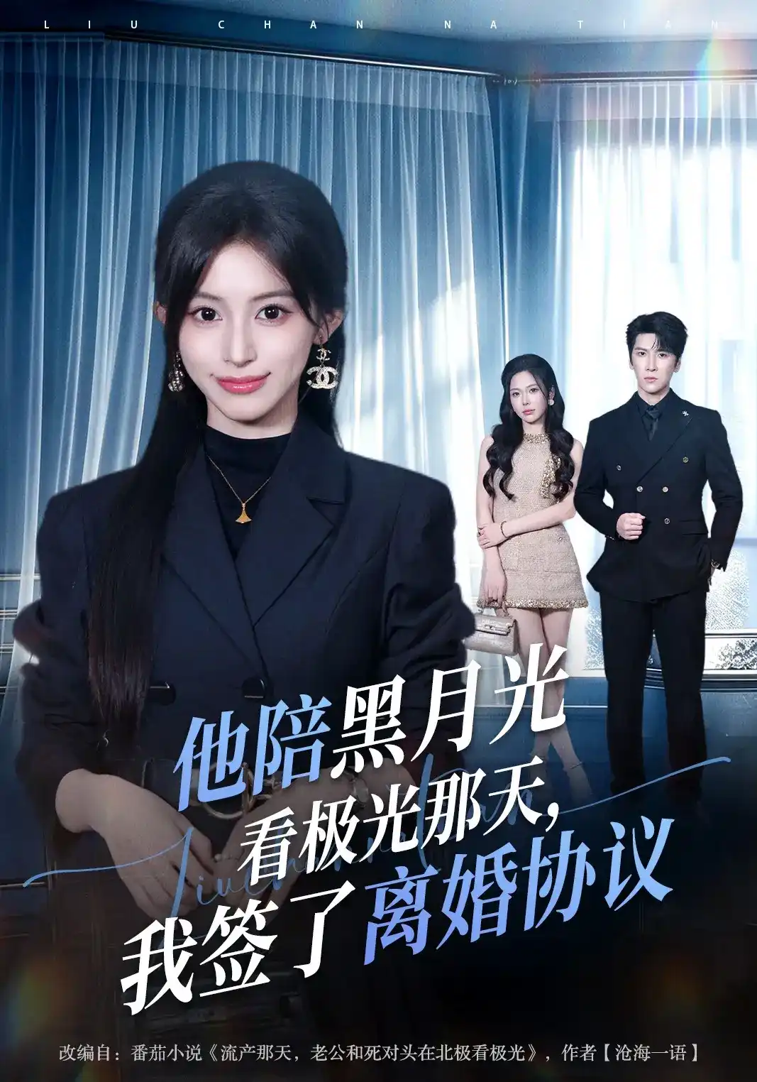 他陪黑月光看极光那天，我签了离婚协议全集