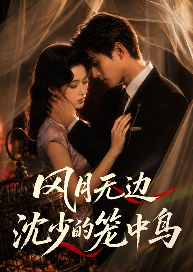 风月无边，沈少的笼中鸟全集