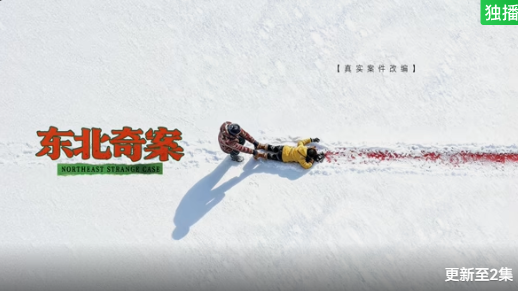 东北奇案