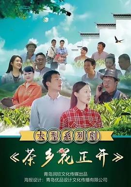 茶乡花正开全集