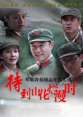 待到山花烂漫时第08集