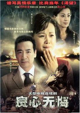 良心无悔全集