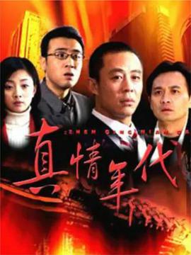 真情年代第09集