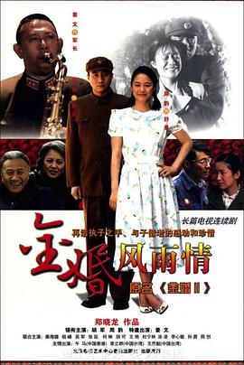金婚·风雨情全集