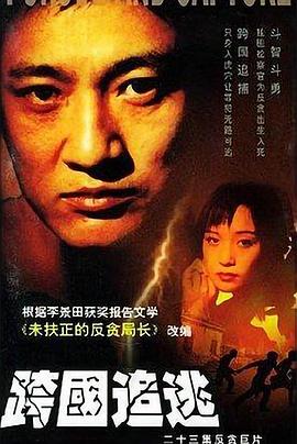 跨国追逃全集