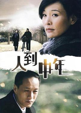人到中年2009全集