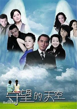 守望的天空全集