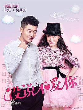 没说不爱你全集