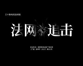 法网追击全集