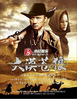 大漠苍狼全集