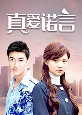 真爱诺言全集