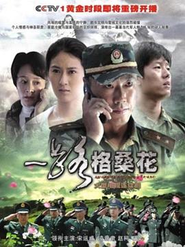 一路格桑花全集