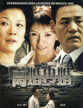 离婚再婚全集