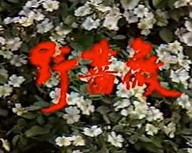 野蔷薇全集