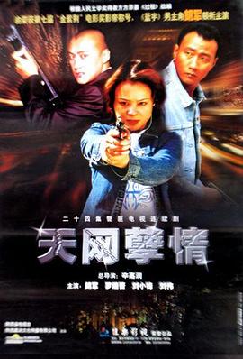 天网孽情全集