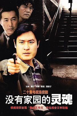 没有家园的灵魂全集