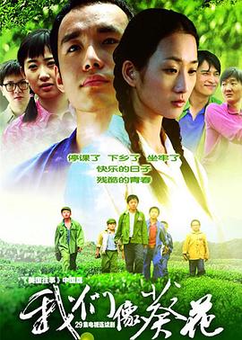 我们像葵花全集