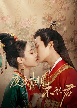 夜夜相见不识君全集