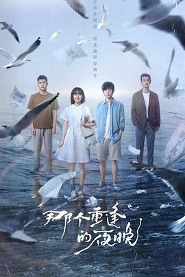那个重逢的夜晚全集