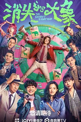 消失的大象全集