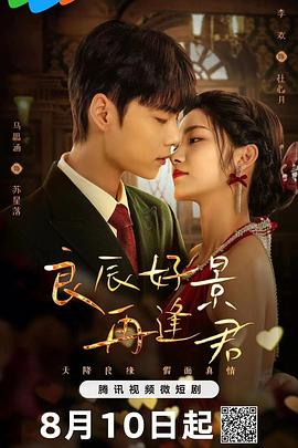 良辰好景再逢君全集