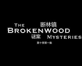 断林镇谜案第十季全集