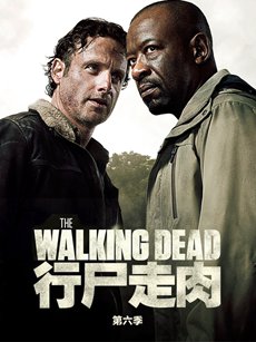 行尸走肉第六季全集