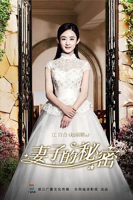 妻子的秘密全集