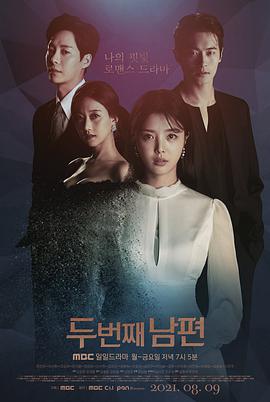 第二个老公全集