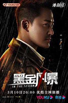 黑金风暴国语版全集